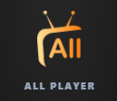 Logo ALL PLAYER